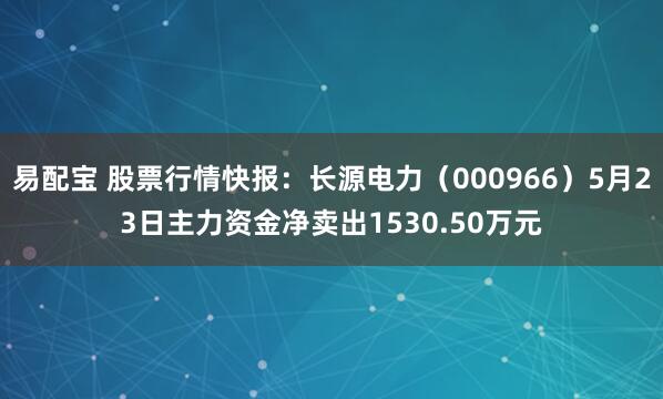 易配宝 股票行情快报：长源电力（000966）5月23日主力资金净卖出1530.50万元