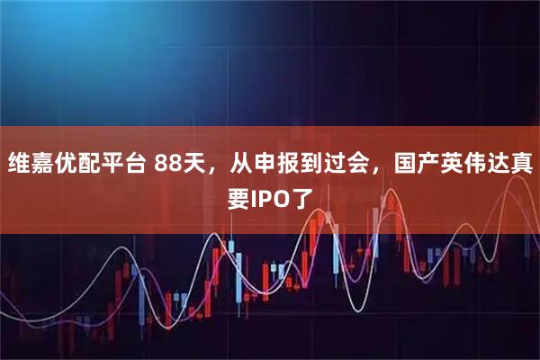 维嘉优配平台 88天，从申报到过会，国产英伟达真要IPO了