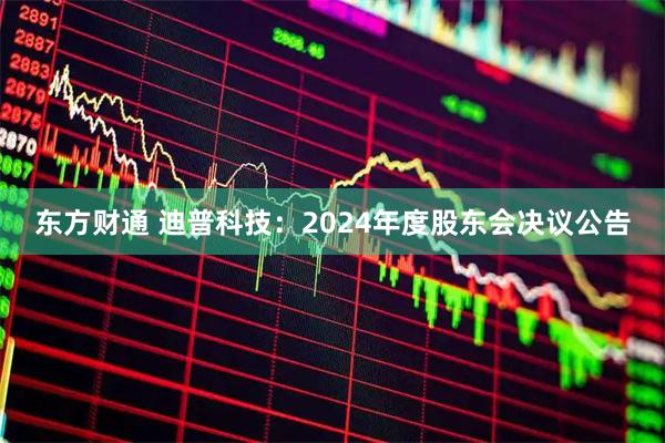 东方财通 迪普科技：2024年度股东会决议公告