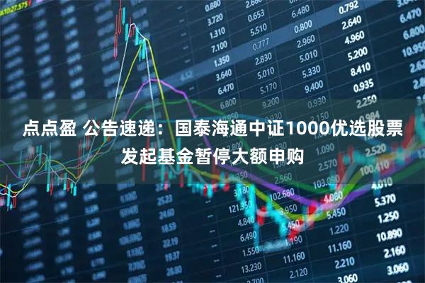 点点盈 公告速递:国泰海通中证1000优选股票发起基金暂停大额申购